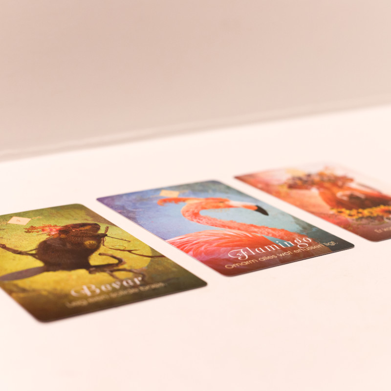 Kaartendesk ter ondersteuning van een NEI sessie